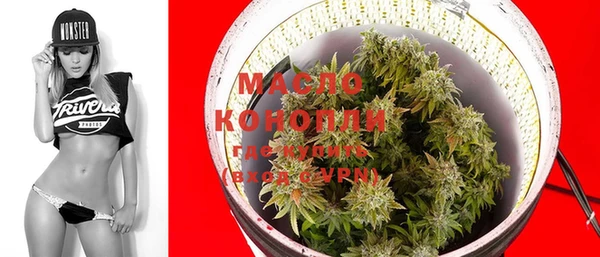 крисы Елизово
